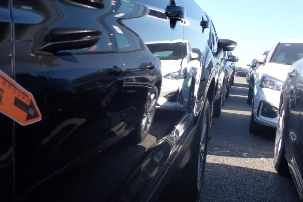 Ford Kuga 2019 photo 8