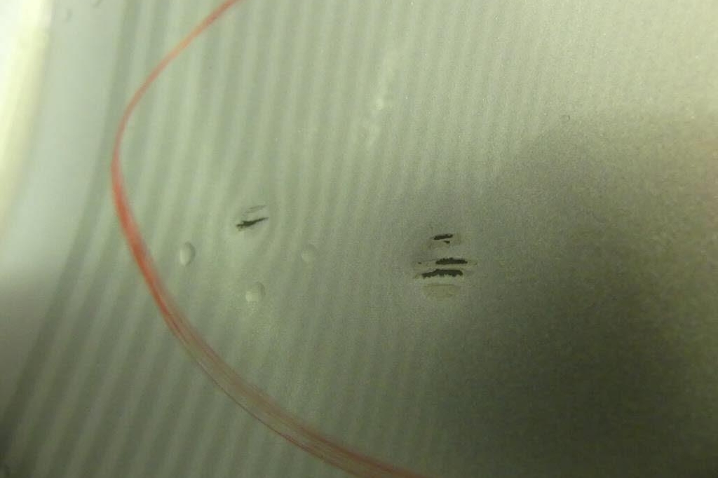 Opel Corsa 2017 фото 9