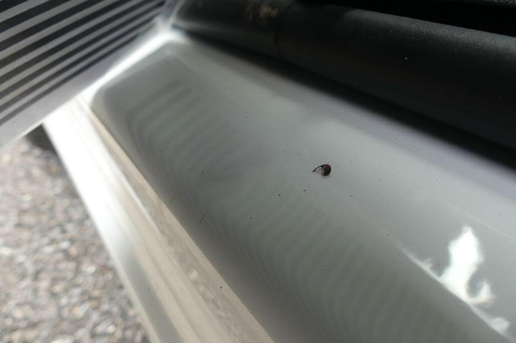 Fiat Doblo груз. 2018 photo 9