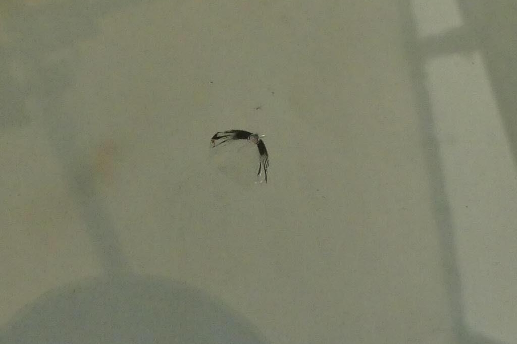 SEAT Leon 2017 фото 10