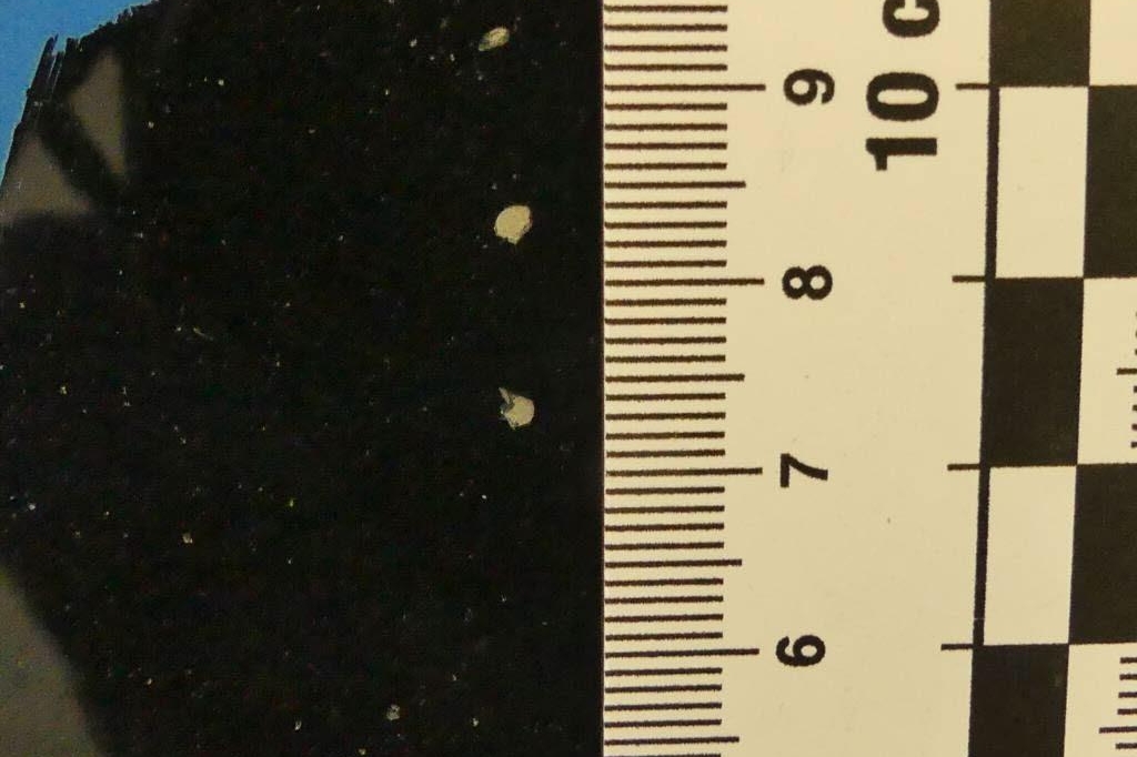 SEAT Alhambra 2017 фото 12