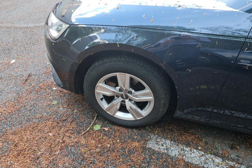 Audi A4 Avant 2017 фото 16