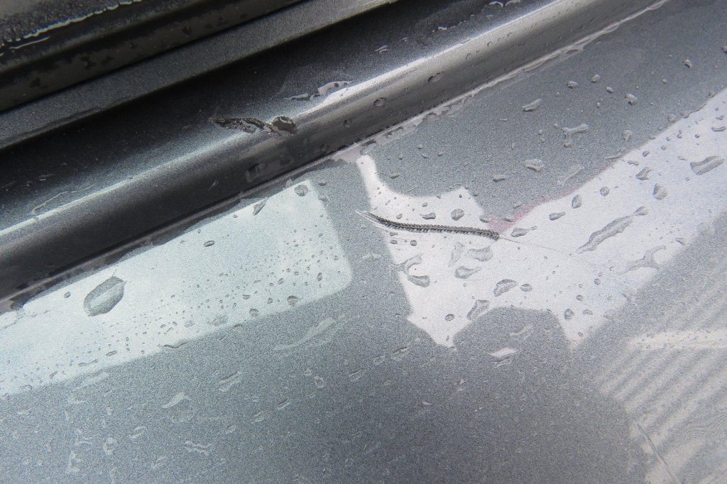 Volkswagen Tiguan 2018 фото 10