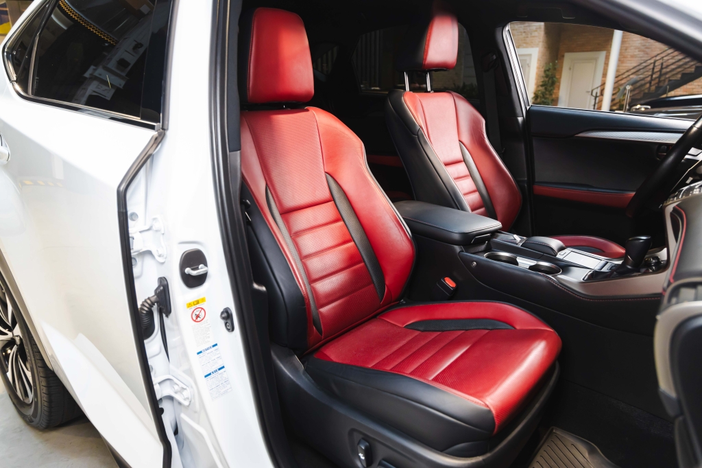 Lexus NX 300 F Sport 2018 photo 20