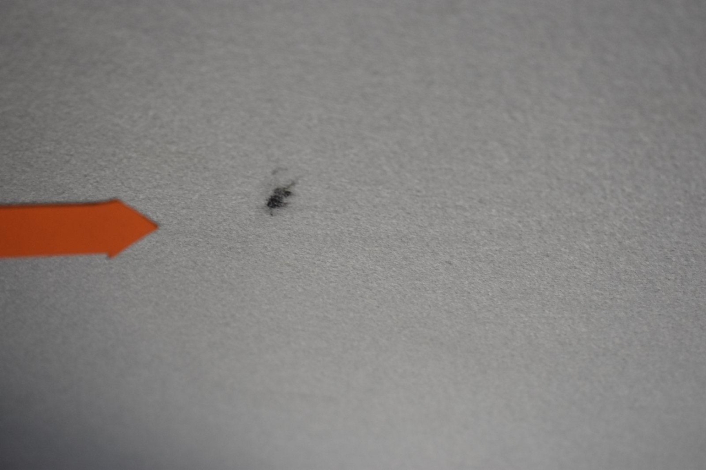 Ford Transit Kasten 2019 photo 20