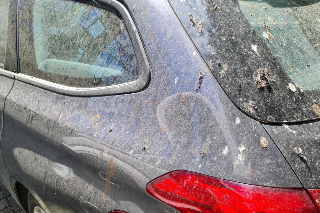 Peugeot 308SW 2016 photo 14