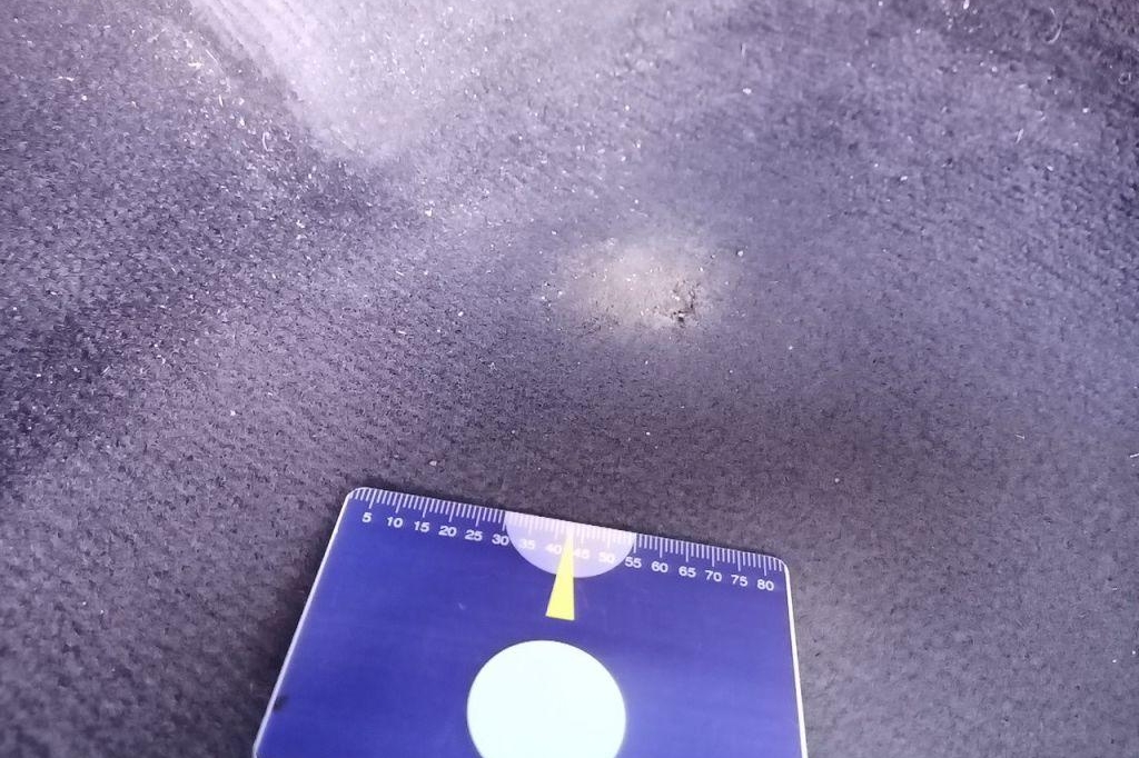 Volkswagen Passat Variant 2017 фото 49