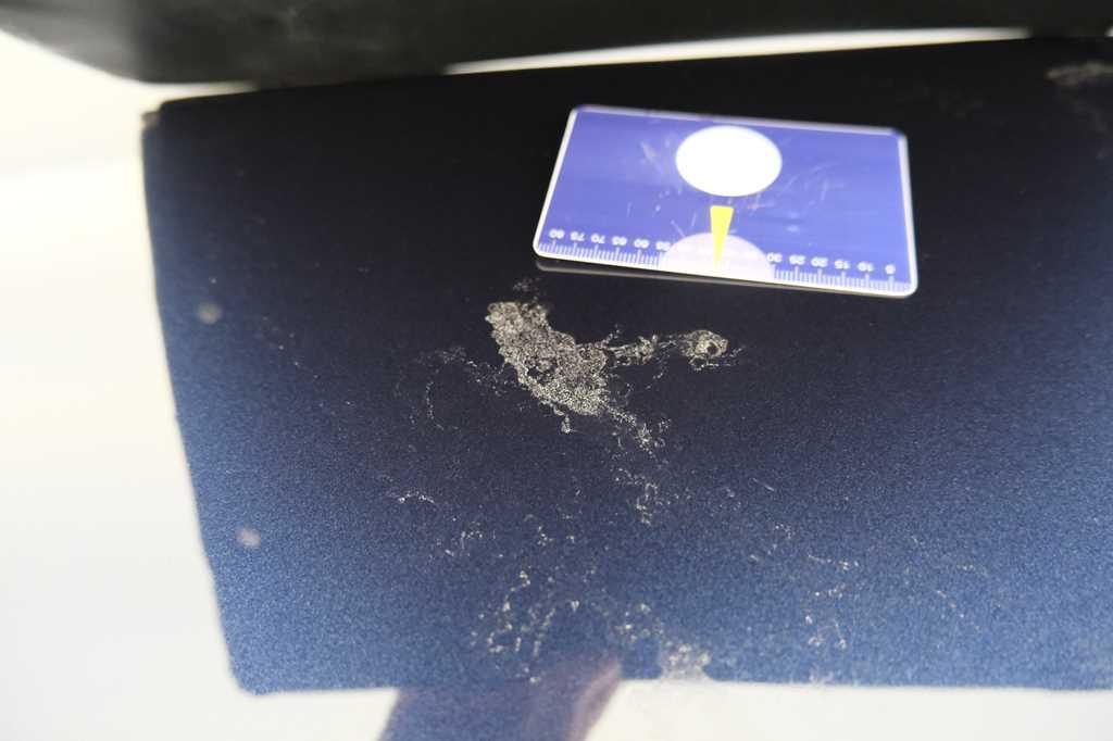 Volkswagen Passat Variant 2016 фото 11