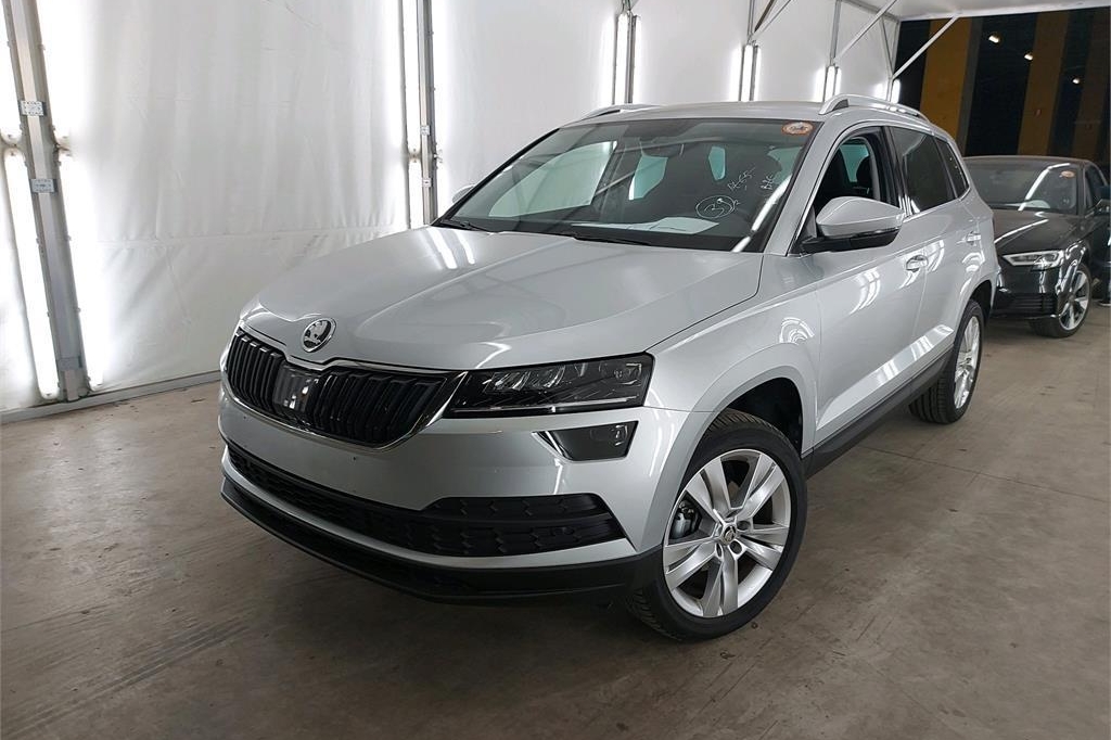 Skoda Karoq 2019 фото 5