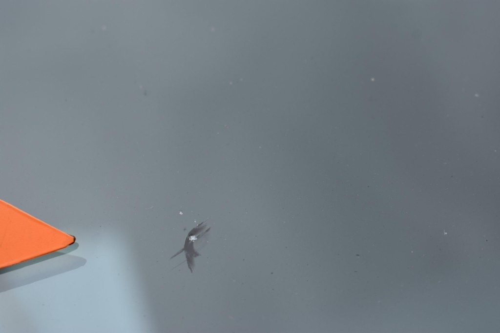 Renault Master Kasten 2019 фото 16