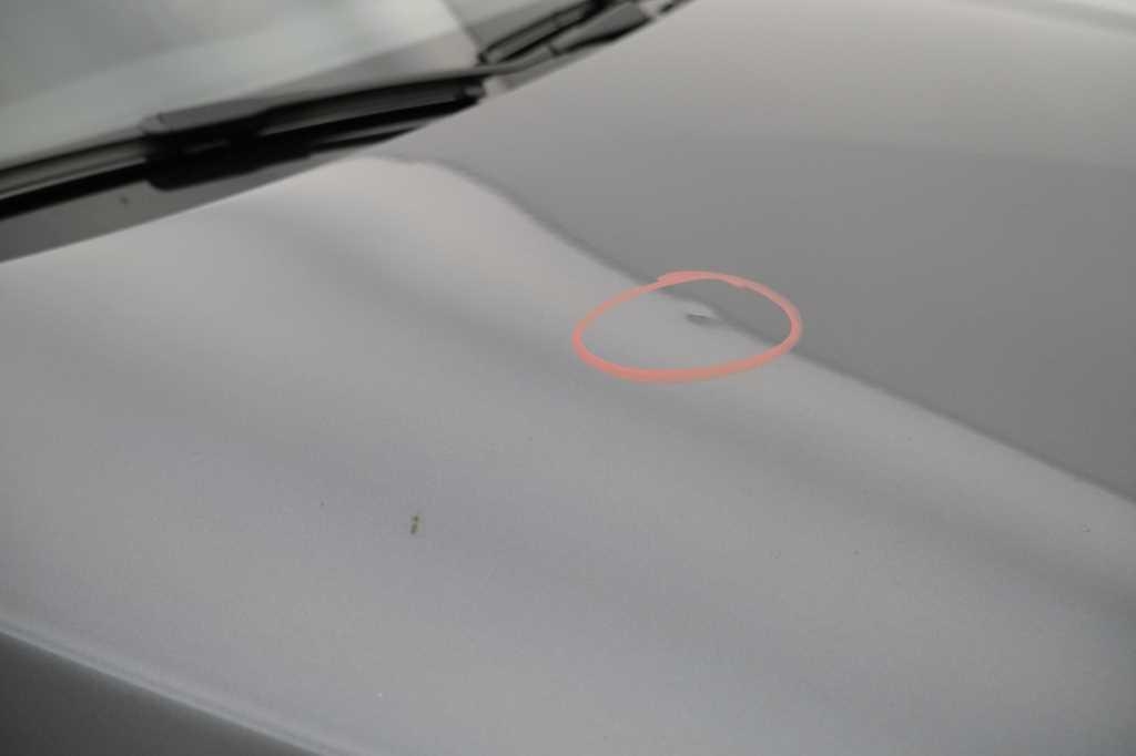 BMW 1er 2019 фото 14