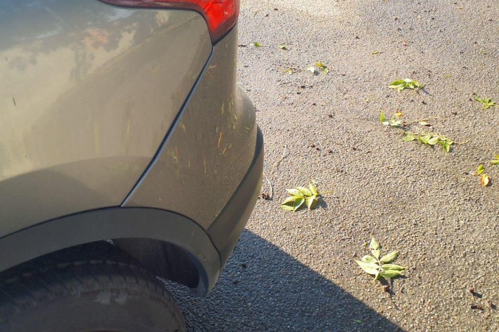 Nissan Qashqai 2017 photo 20