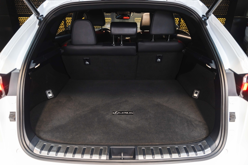 Lexus NX 300 F Sport 2018 photo 38