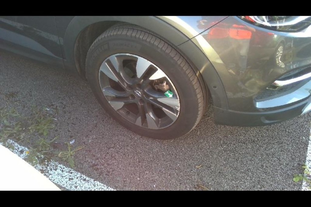 Opel Grandland X 2020 фото 11