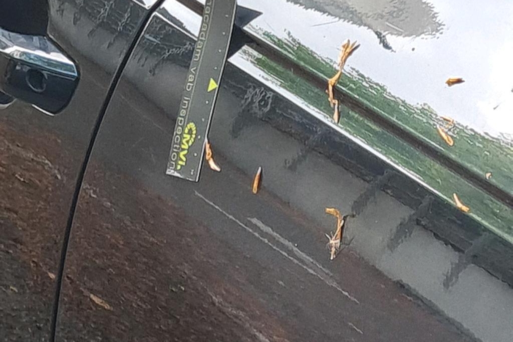 Audi A4 Avant 2017 фото 10