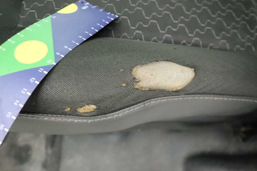 Renault Kangoo 2016 фото 15