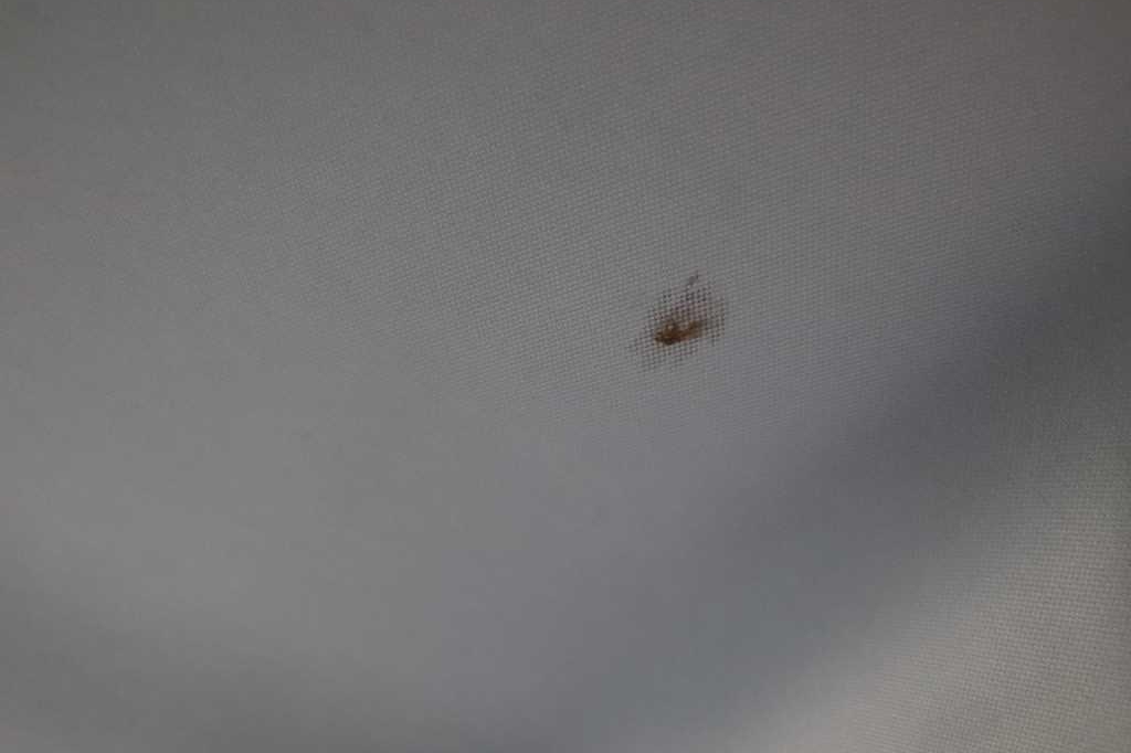 Renault Megane Grandtour 2016 фото 23