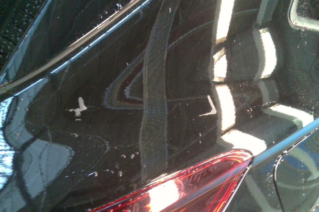 Opel Grandland X 2020 photo 12