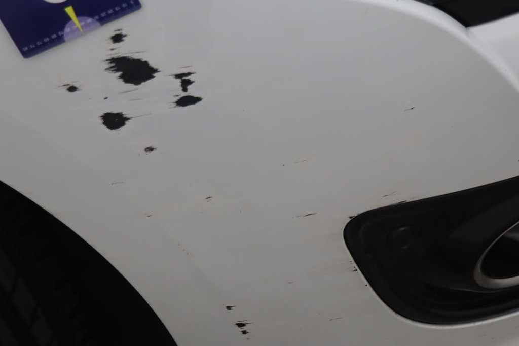 Renault Megane Grandtour 2016 фото 10