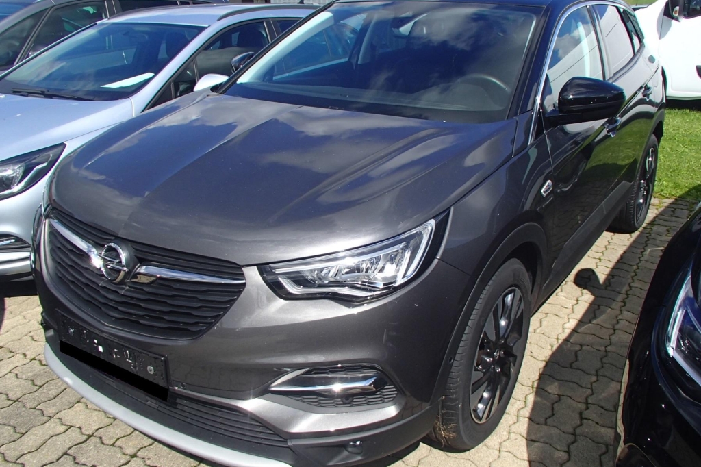 Opel Grandland X 2020 фото 2