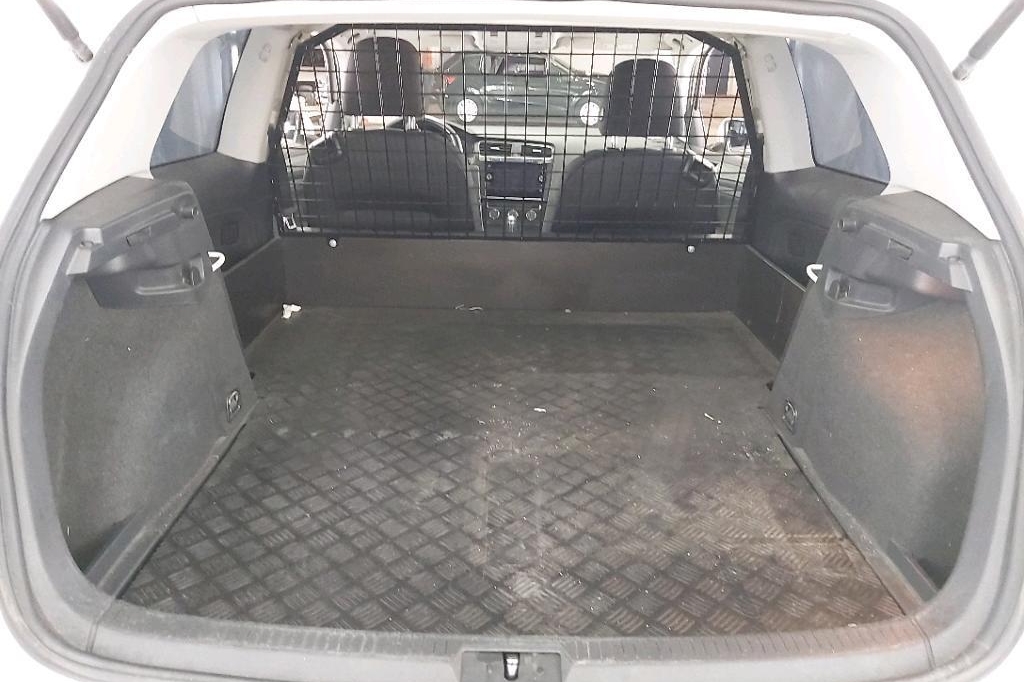 Volkswagen Golf 2017 фото 1