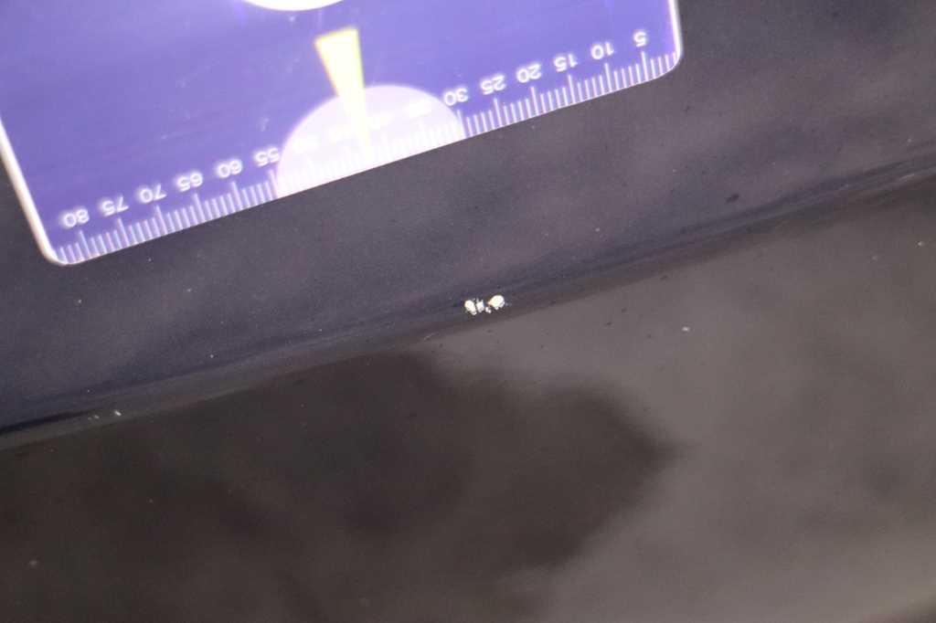 Mercedes-Benz B-Klasse 2017 photo 41