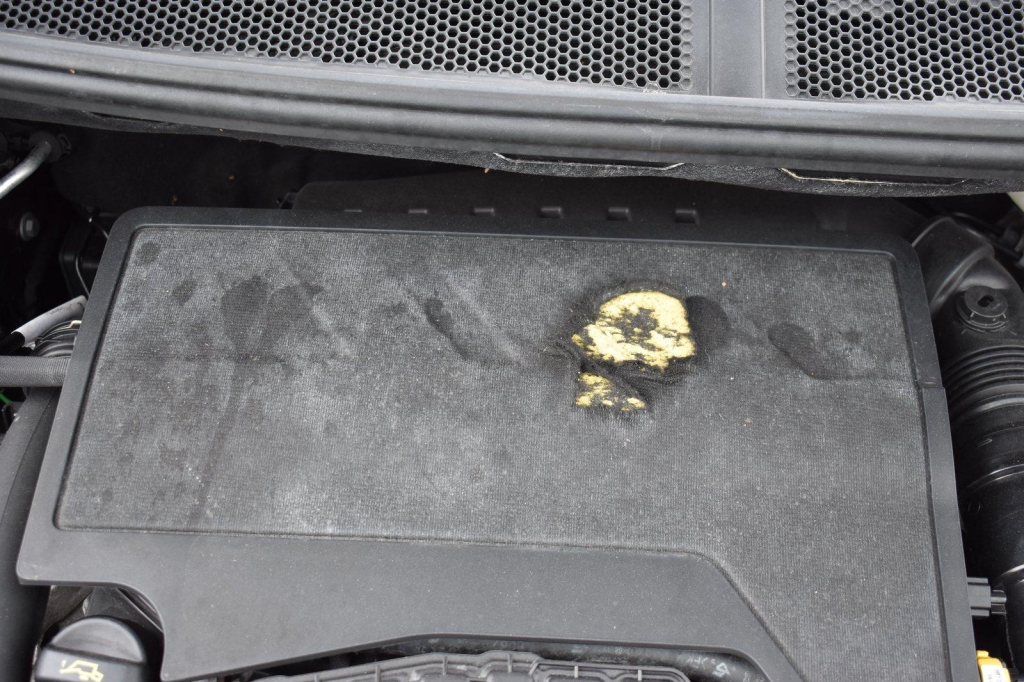 Opel Grandland X 2019 photo 22