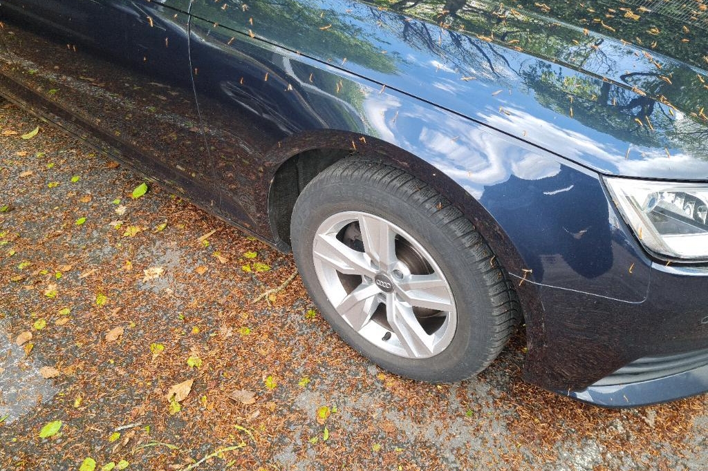 Audi A4 Avant 2017 фото 19