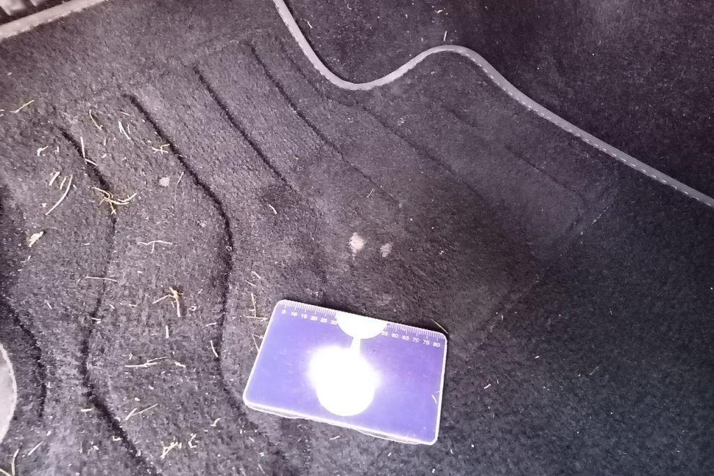 Renault Talisman Grand tour 2016 фото 50