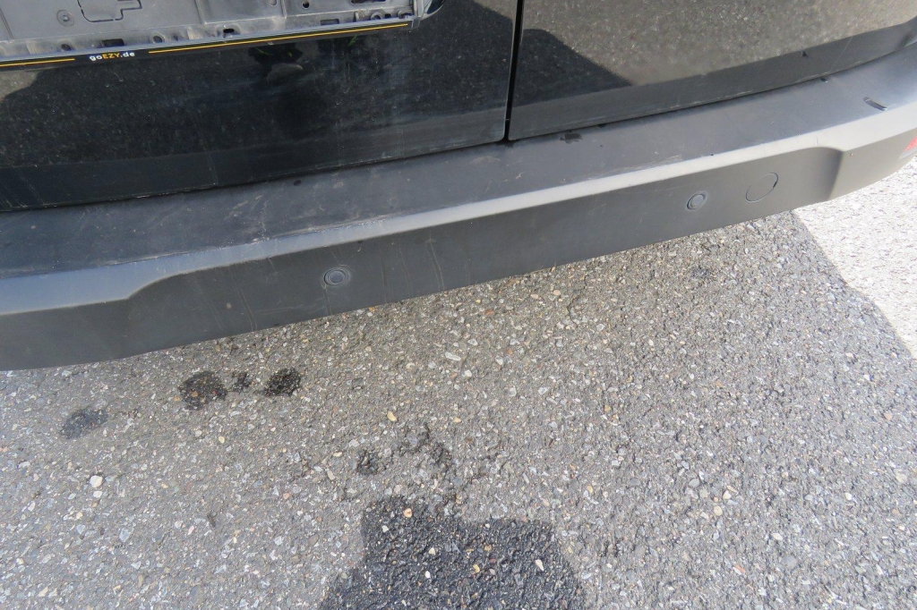 Ford Transit Connect 2019 photo 11