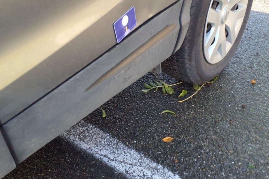 Nissan Qashqai 2017 photo 18