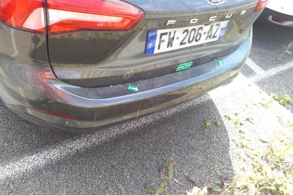 Ford Focus Turnier 2020 фото 7