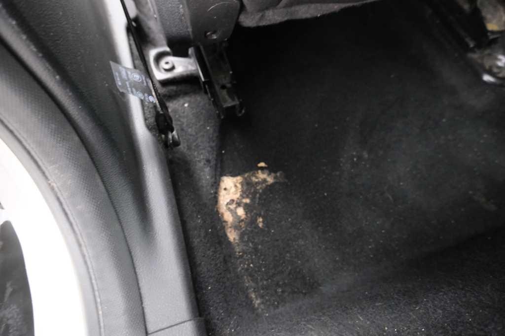 Ford Focus Tunier 2017 photo 20