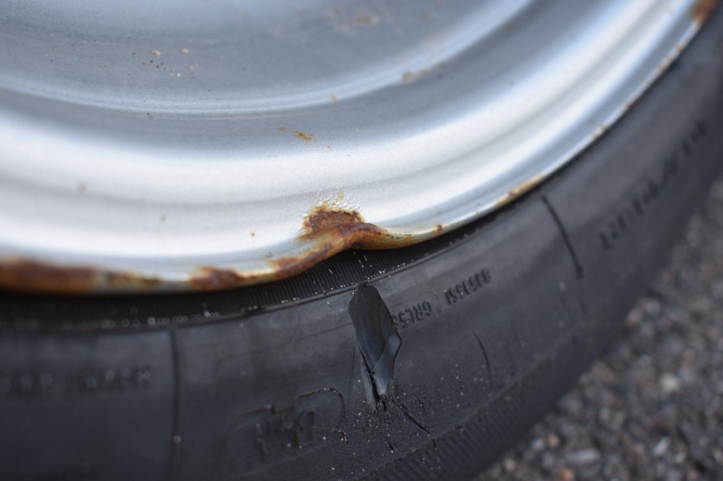 Ford Transit Koffer 2019 фото 14