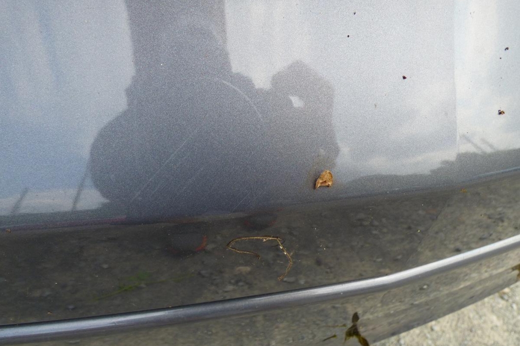 Opel Insignia Sports Tourer 2017 фото 21