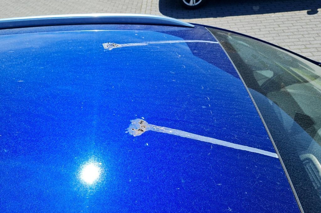 Ford Mondeo Turnier 2018 фото 34