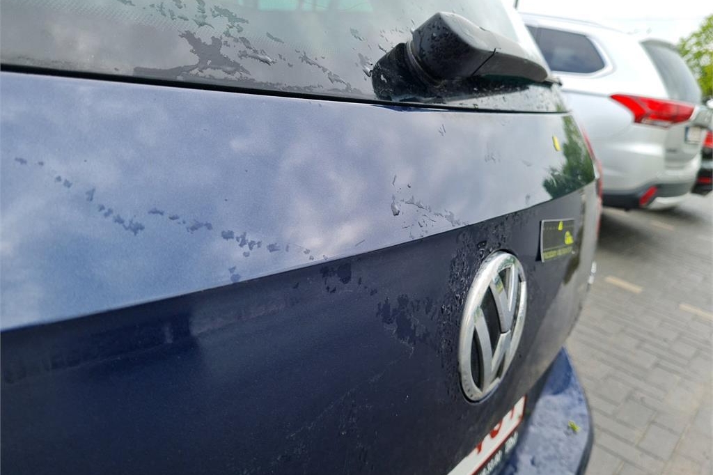 Volkswagen Passat Variant 2017 фото 25