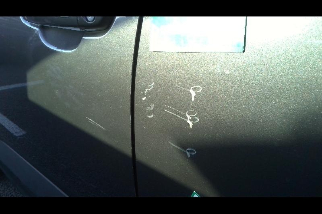 Opel Grandland X 2020 фото 12