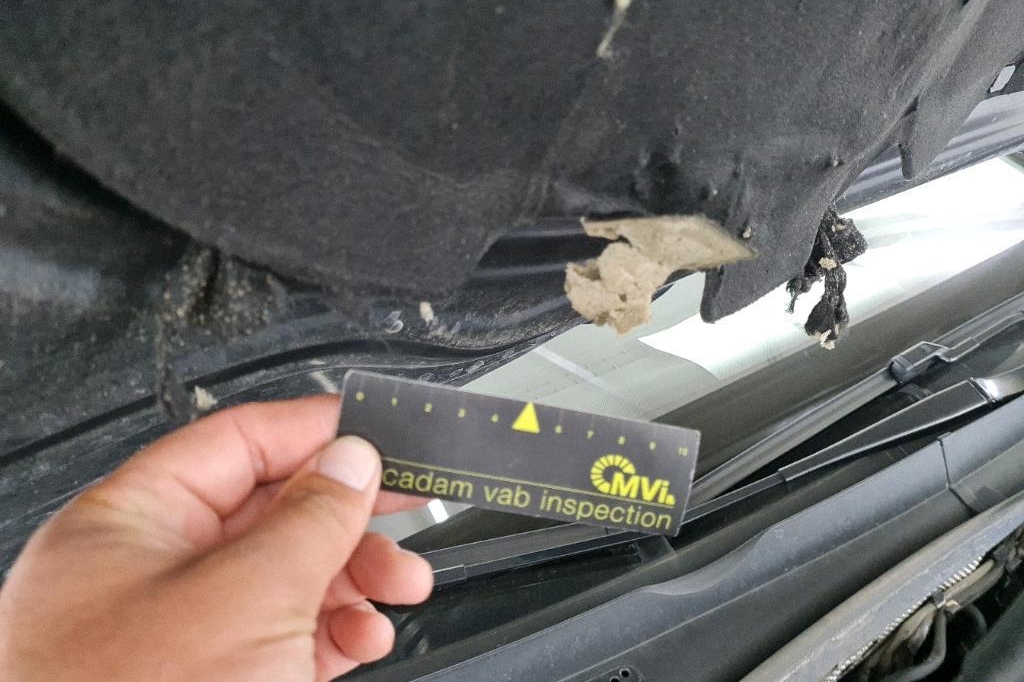 Volkswagen Golf 2020 photo 8