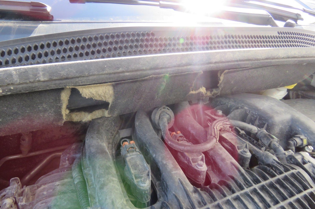 Opel Crossland X 2019 фото 13