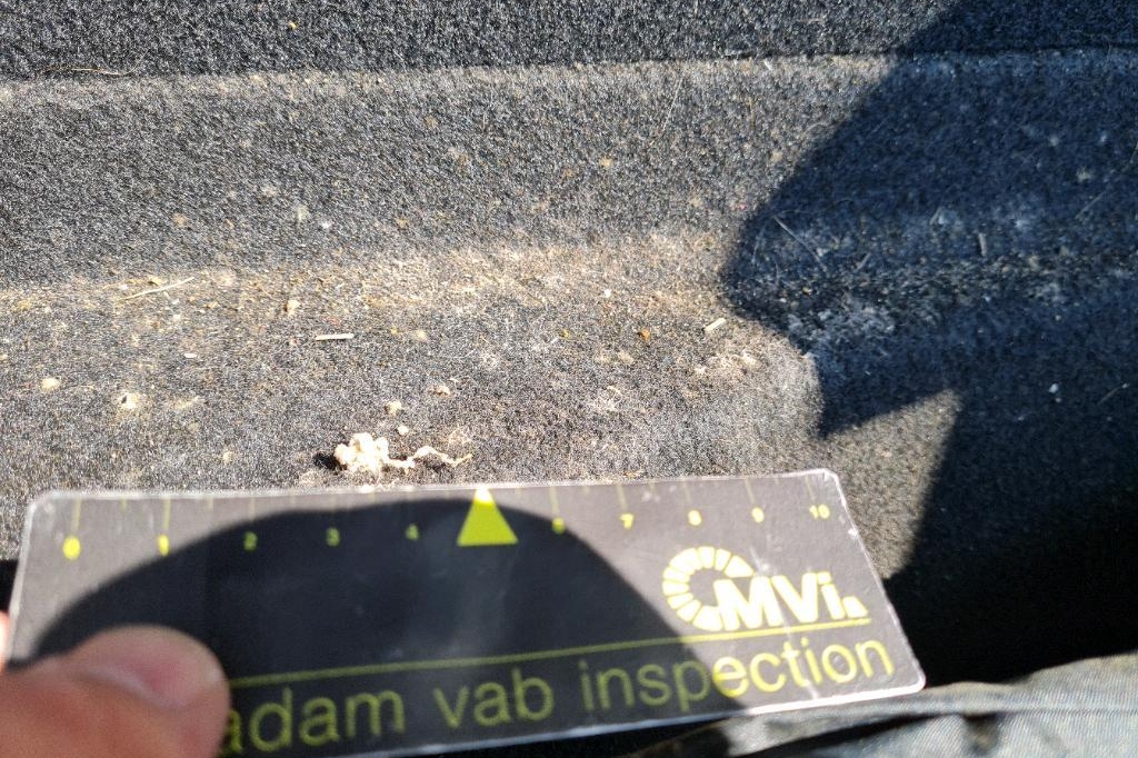 Volkswagen Golf Sportsvan 2016 photo 7