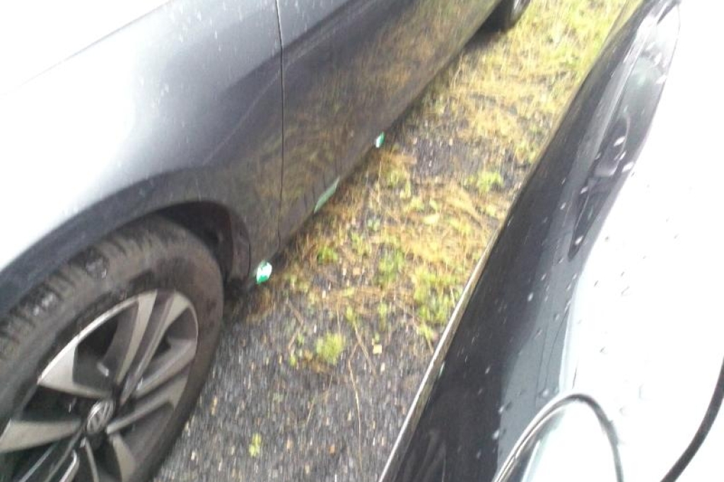 Volkswagen Golf 2019 фото 9