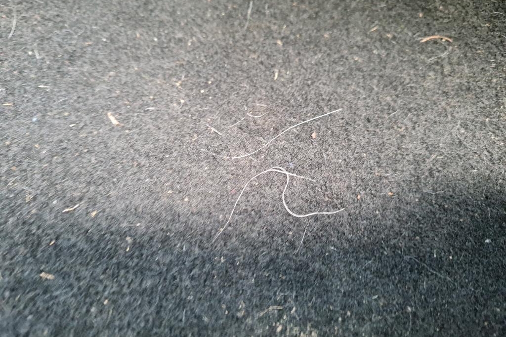 Peugeot 308SW 2016 photo 16