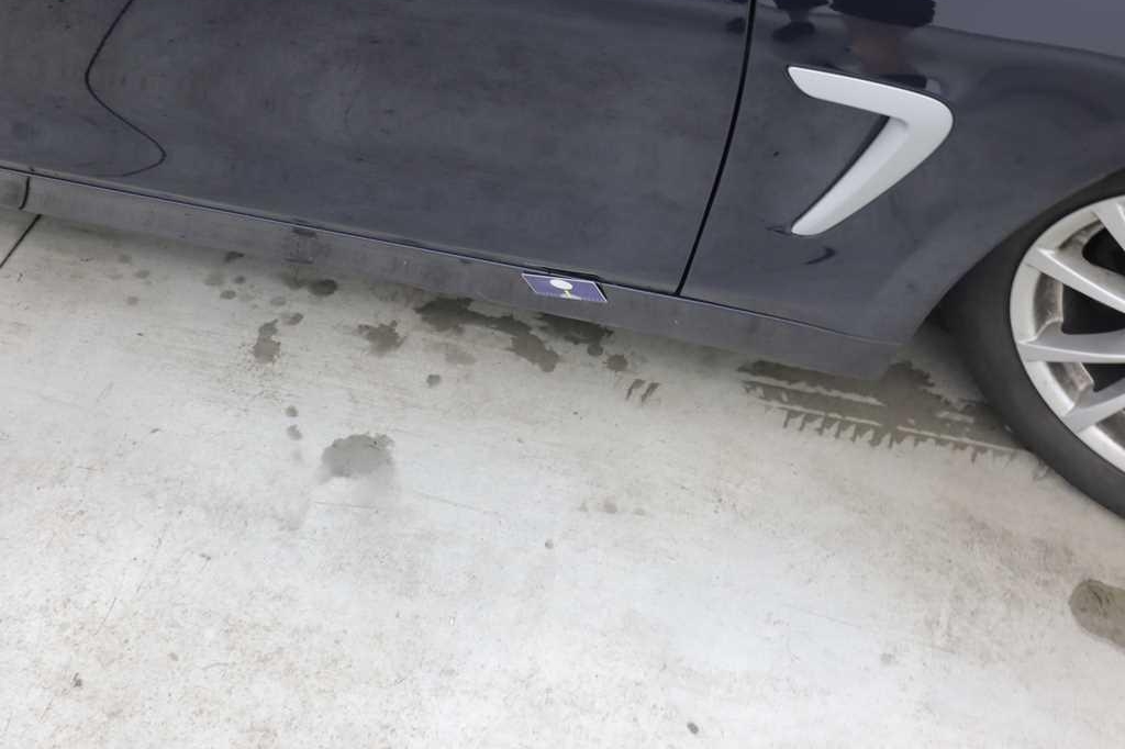 BMW 4er Gran Coupe 2017 photo 19