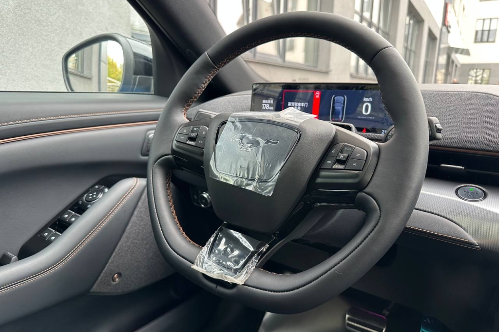 Ford Mustang Mach-E GT 2022 фото 24