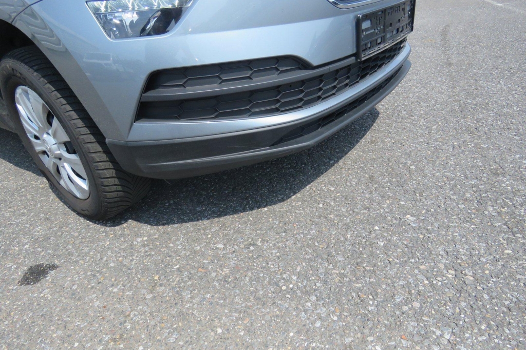 Skoda Karoq 2020 photo 16