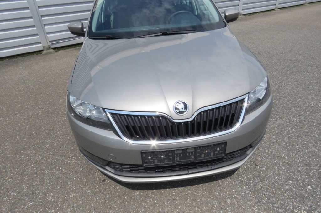 Skoda Rapid 2019 фото 8