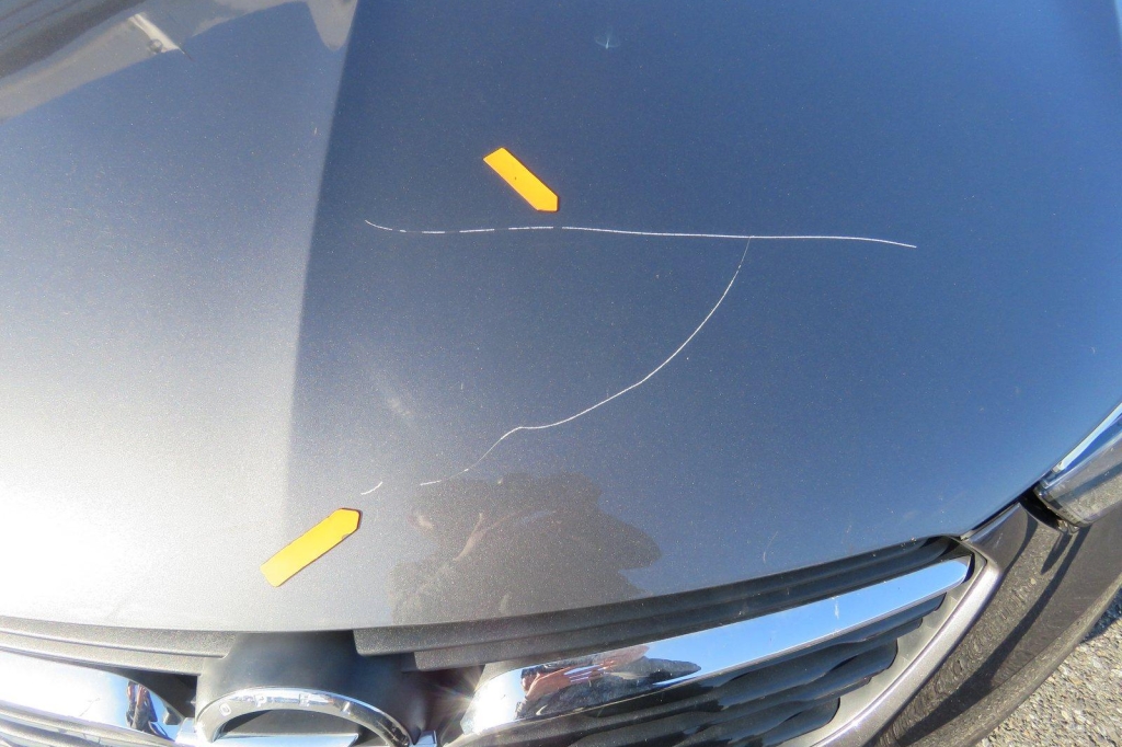 Opel Crossland X 2020 фото 37