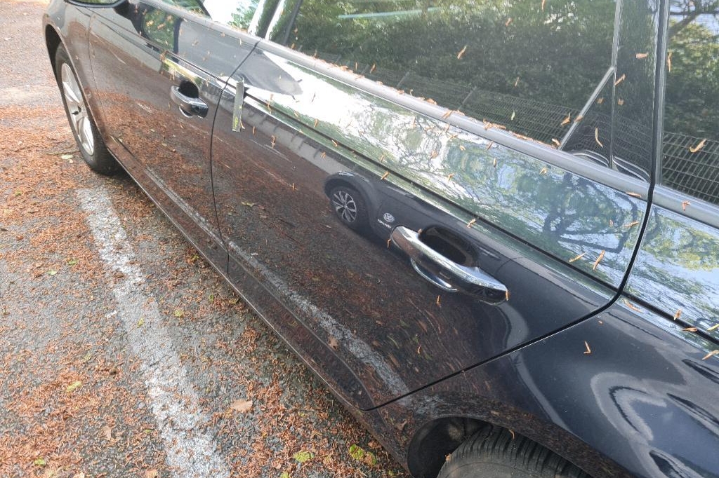 Audi A4 Avant 2017 фото 17