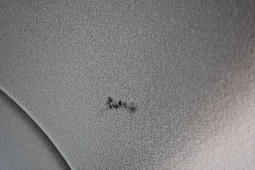 Ford Transit Custom 2020 фото 27